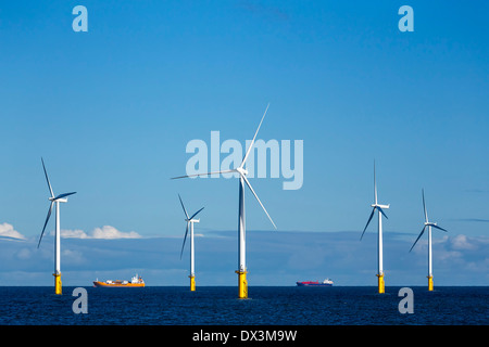 Teesside Offshore-Windpark in der Nähe von Redcar, North Yorkshire. Stockfoto