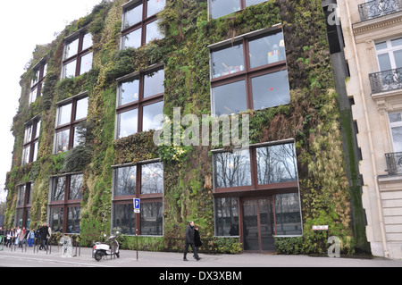 Vertikale Gartenmauer des Musée du Quai Branly, Paris Stockfoto