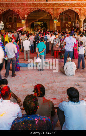 Jaipur, Indien. 17. März 2014. Menschen beten und feiern Holi-Fest am Goga Tempel, 17. März 2014, Jaipur, Indien Credit: © nisrine Ghaffarian/Alamy Live News Stockfoto