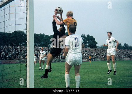 Fußball, Regionalliga West 1964/1965, August Thyssen Stadion, Sportfreunde Hamborn 07 gegen STV Horst-Emscher 4:0, Torhüter Bernd Petrasch (STV) fangen den Ball vor Horst Heese (07) Stockfoto