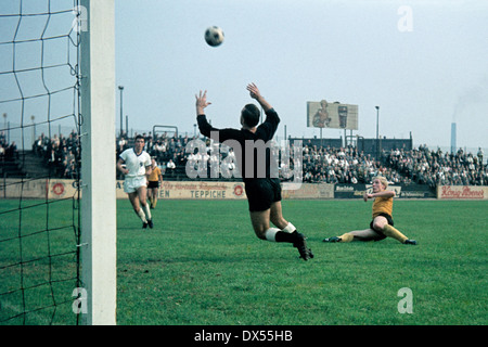 Fußball, Regionalliga West 1964/1965, August Thyssen Stadion, Sportfreunde Hamborn 07 gegen STV Horst-Emscher 4:0, Horst Heese (07) rechts fehlt eine Torjäger Gelegenheit gegen Torwart Bernd Petrasch (STV) Stockfoto