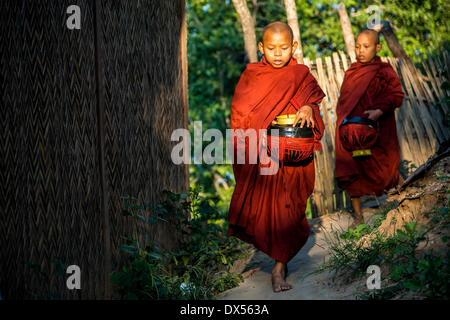 Buddhistischen Novizen mit Betteln Schalen bei ihren morgendlichen betteln Tour, Mount Popa, in Bagan, Mandalay-Division, Myanmar Stockfoto