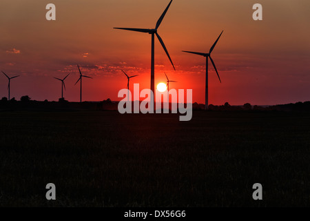 Zehdenick, Deutschland, Windpark bei Sonnenuntergang Stockfoto