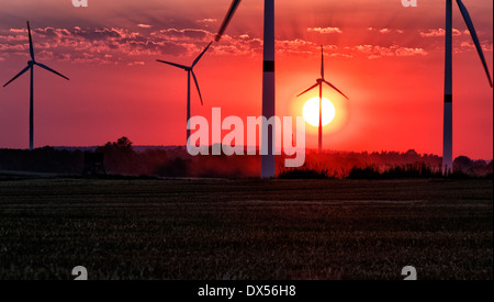 Zehdenick, Deutschland, Windpark bei Sonnenuntergang Stockfoto