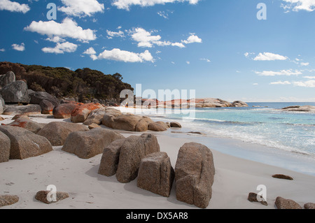 Orange rockt in die Bay of Fires in Tasmanien an einem sonnigen Tag Stockfoto