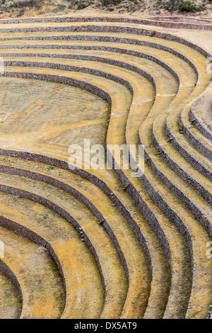 Muränen, Inka-Ruinen in den peruanischen Anden in Cuzco Peru Stockfoto