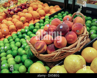 Pfirsiche und Zitrusfrüchte Display, Frischwaren Abschnitt Publix Supermarkt in Flagler Beach, Florida Stockfoto