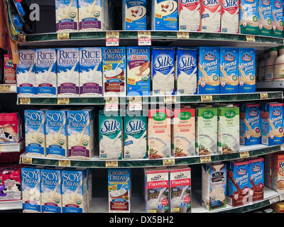 Bio-Milch-Alternativen-Display, Publix Supermarkt in Flagler Beach, Florida Stockfoto