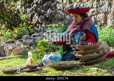 Cusco, Peru - 15. Juli 2013: Frau mit natürlichen Farbstoffen in den peruanischen Anden in Cuzco Peru am 15. Juli 2013 Stockfoto