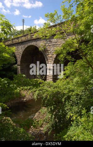 Verlassene Eisenbahnbrücke über den Fluss Kelvin in Glasgow, Schottland Stockfoto