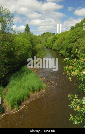 Der Fluss Kelvin am Kelvindale in Glasgow, Schottland Stockfoto