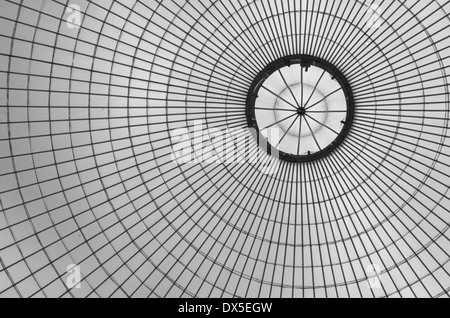 Das Dach des Kibble Palace in den botanischen Gärten in Glasgow, Schottland Stockfoto