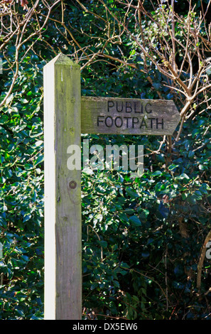 Ein Blick auf einen öffentlichen Fußweg Finger Post in der Norfolk-Landschaft. Stockfoto