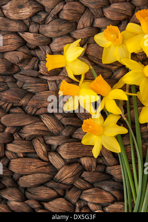 Narzissen auf kontrastreiche gewebte Oberfläche / vertikale Ausrichtung Stockfoto