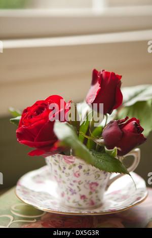 Rote Rosen in feminin floral Teetasse mit Fensterbank, Nahaufnahme Stockfoto