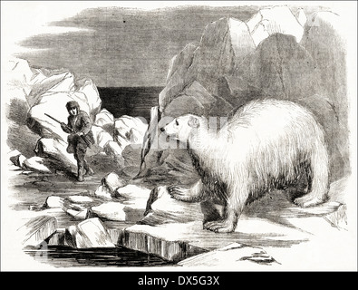 Viktorianische Gravur Eisbären in der Arktis ca. 1854 zu jagen. Stockfoto