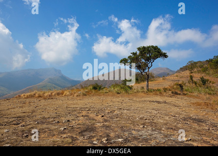 Südwärts Inder Landschaft mit blauem Himmel und weißen Wolken über trockenen felsigen Hänge in der Nähe von Kodaikanal in Tamil Nadu Stockfoto