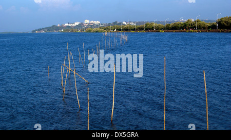 Bunte Backwaters von Goa Indien an den Ufern des Panaji (Panjim Stadt) Stockfoto