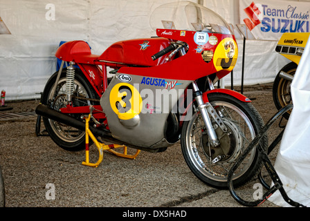 Roberto Anelli, MV Agusta 500-3 Stockfoto