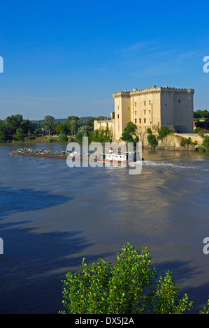 Tarascon Burg Tarascon Stockfoto