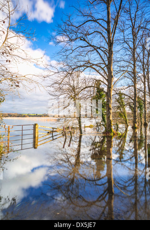 Überschwemmungen auf dem Feld und Weg bei Arundel, West Sussex, UK Stockfoto