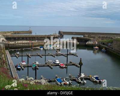 Seaham Harbour und Marina, County Durham, England Stockfoto