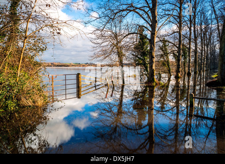 Überschwemmungen auf dem Feld und Weg bei Arundel, West Sussex, UK Stockfoto