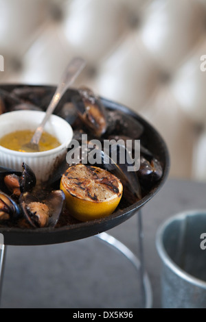 Frische Austern mit verkohlten Zitrone und Sauce, Nahaufnahme, hoher Winkel Stockfoto