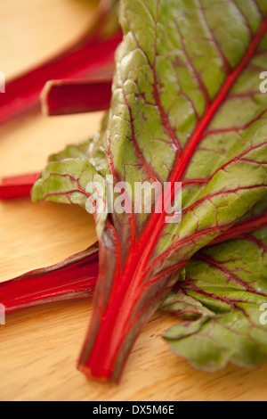 Rhabarber mit roten und grünen Blättern, Nahaufnahme, hoher Winkel Stockfoto