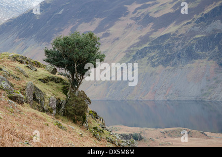 Landschaft am Wastwater, Lake District, England Stockfoto