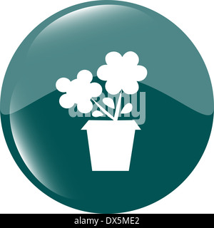 Blume-Web-Taste für Website oder app isoliert auf weiss Stockfoto