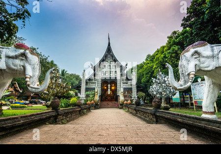 Wat Lok Moli Tempel in Chiang Mai Stockfoto