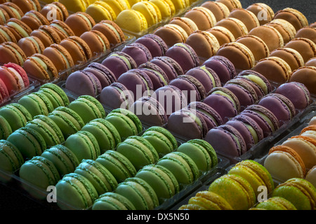 Eine Darstellung der vielfältigen Makronen (Frankreich).  Vorstellung de Macarons Variés (Frankreich). Stockfoto