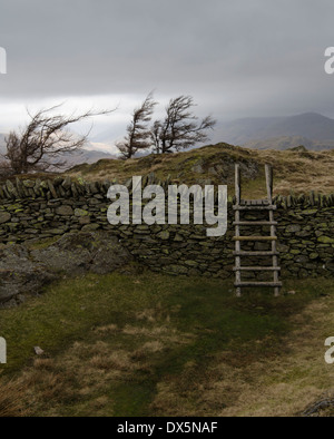 Einen Stil über eine Trockenmauer auf Black fiel, Lake District, England an einem kalten, grauen Tag Stockfoto