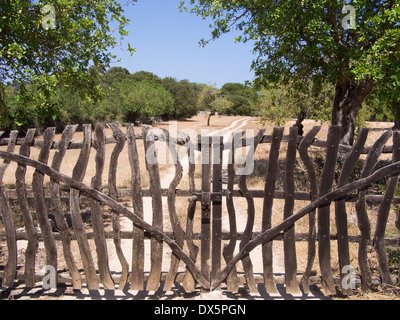 Rustikale Holztore, Mallorca Stockfoto