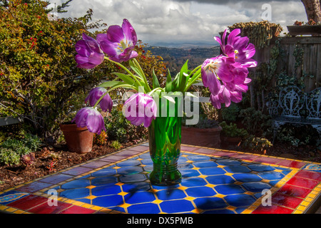 Tulpen im Freien auf einer Kachel-Tabelle. Die Tulpe ist eine mehrjährige, knolligen Pflanze mit auffälligen Blüten der Gattung Tulipa. Beachten Sie die Gewitterwolken. Stockfoto