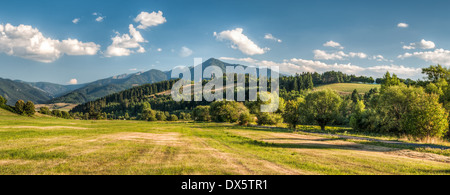 Sommer Berge Landschaft, Low Tatra, Slowakei Stockfoto