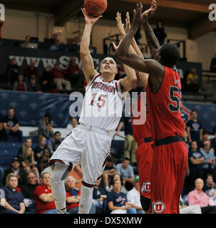Moraga, Kalifornien, USA. 18. März 2014. 18. März 2014 - Moraga, Kalifornien USA - Saint Mary F # 15 Beau Levesque fahren auf den Reifen und Gäste während der NCAA Männer Basketball-Spiel zwischen Utah Runnin Utes und heiliges Marys Gaels70-53 gewinnen McKeon Pavillon, Moraga Calif Credit: Csm/Alamy Live-Nachrichten Stockfoto