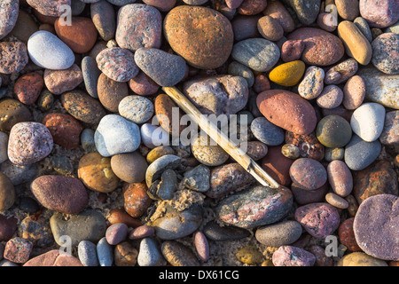 Hintergrund mit Kieselsteinen in verschiedenen Größen - steiniger Strand Stockfoto