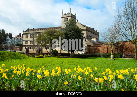 Shrewsbury Bibliothek mit Feder Narzissen, Shropshire, England Stockfoto