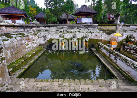 Goa Gajah Elefantenhöhle Weihwasser Frühling, in der Nähe von Ubud, Bali, Indonesien Stockfoto