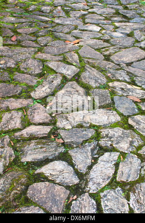 Stein-Boden mit Laub und bemoosten Steinen Stockfoto