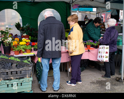 Pflanzen Sie Verkäufer, Markt in Falmouth, Cornwall, UK Stockfoto