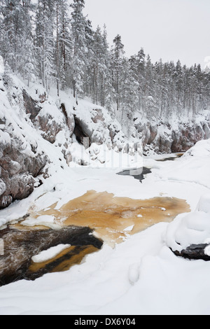 Teilweise zugefrorenen Fluss im verschneiten Wald im winter Stockfoto