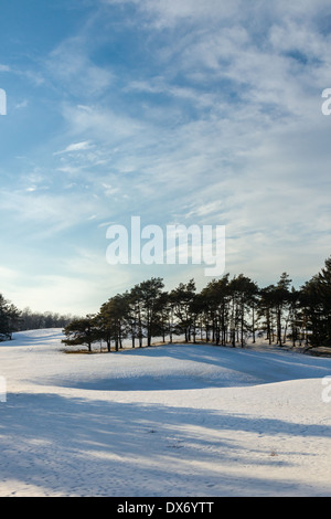 Schnee-Szene auf einem Bauernhof in Süd-Ontario. Stockfoto