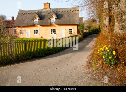 Hübsche Ocker gefärbt historischen Reetdachhaus im Dorf Ufford, Suffolk, England Stockfoto