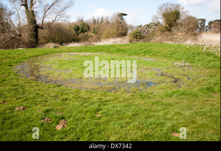 Tau Teich traditionelle Methode zur Wassergewinnung und -Speicherung, Ramsholt, Suffolk, England Stockfoto