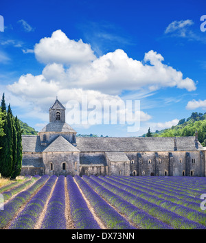 Senanque Abbey mit Lavendelfeld, Wahrzeichen der Provence, Vaucluse, Frankreich. Stockfoto