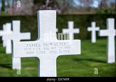 Kreuze in Flanders Field American Cemetery and Memorial in Waregem, einzige First World War One US Militärfriedhof in Belgien Stockfoto