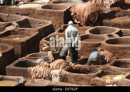 Männer arbeiten in Gerbereien in Fes, Marokko Stockfoto